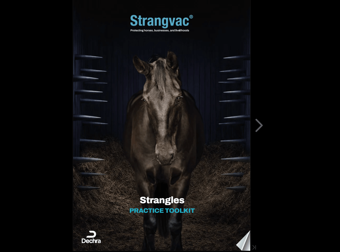 Strangles Practice Toolkit