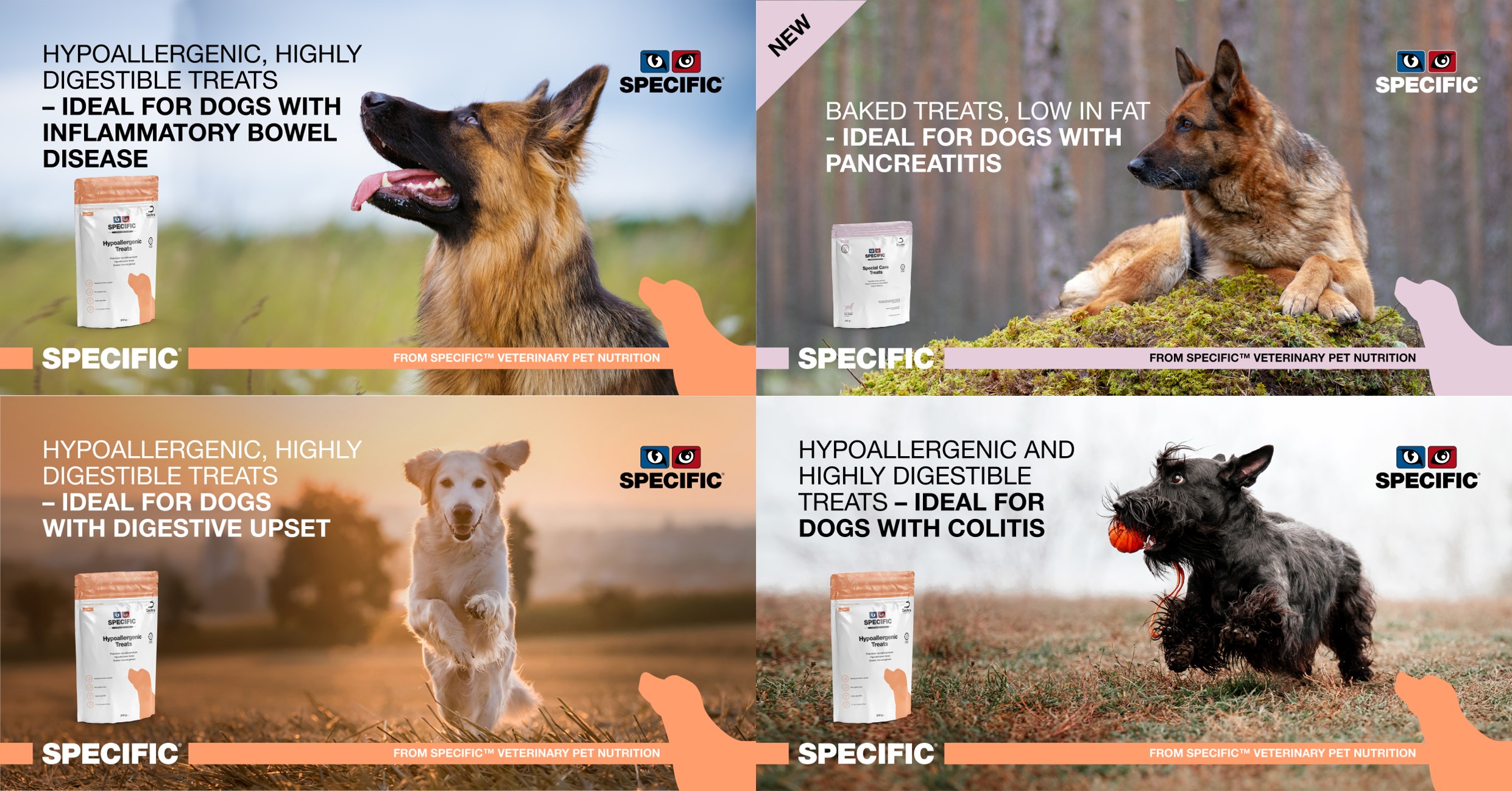 Colitis Symptoms Best Food For Dogs With Colitis Canine