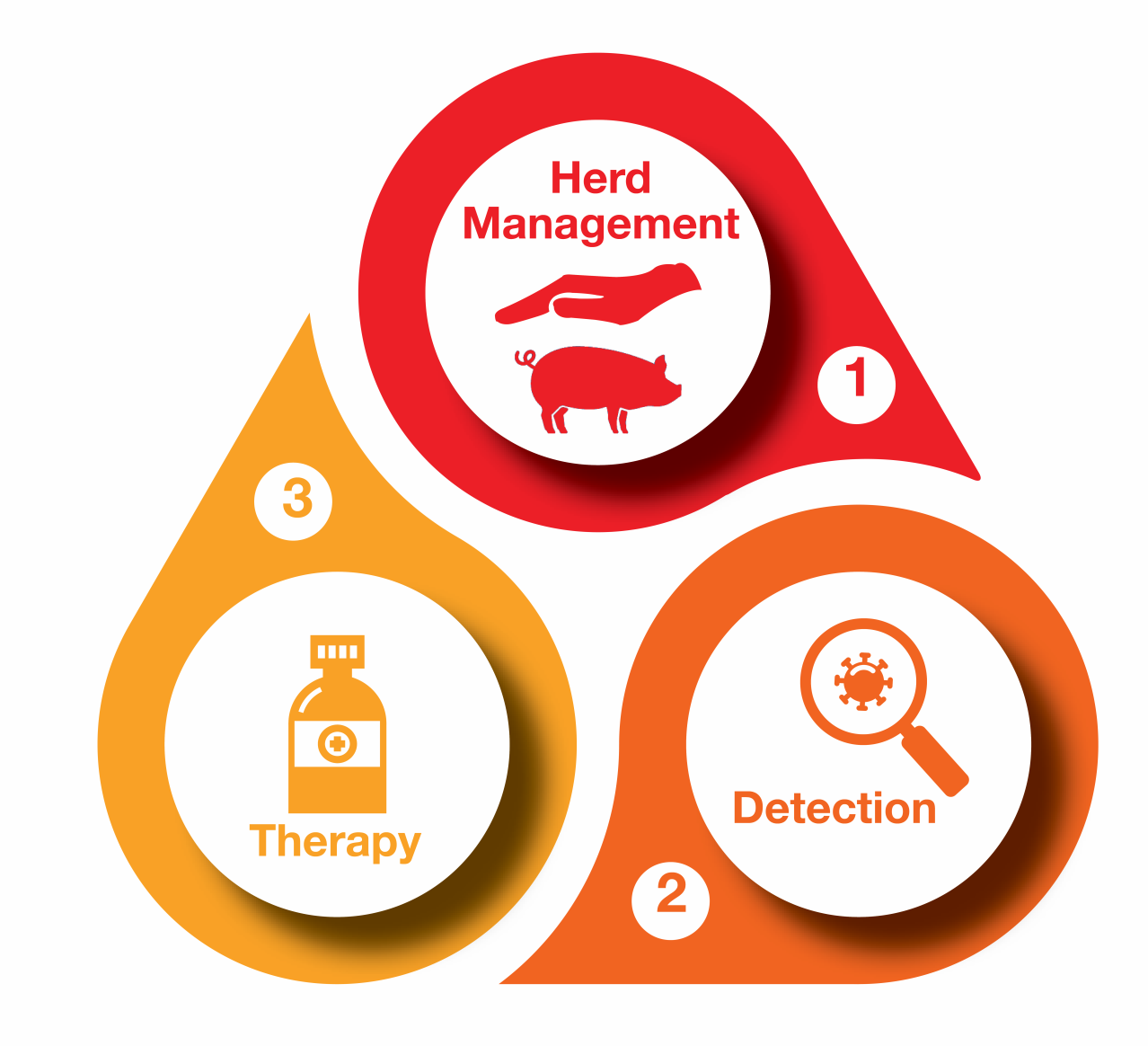 Pain management in Cattle - Dechra's integrated approach