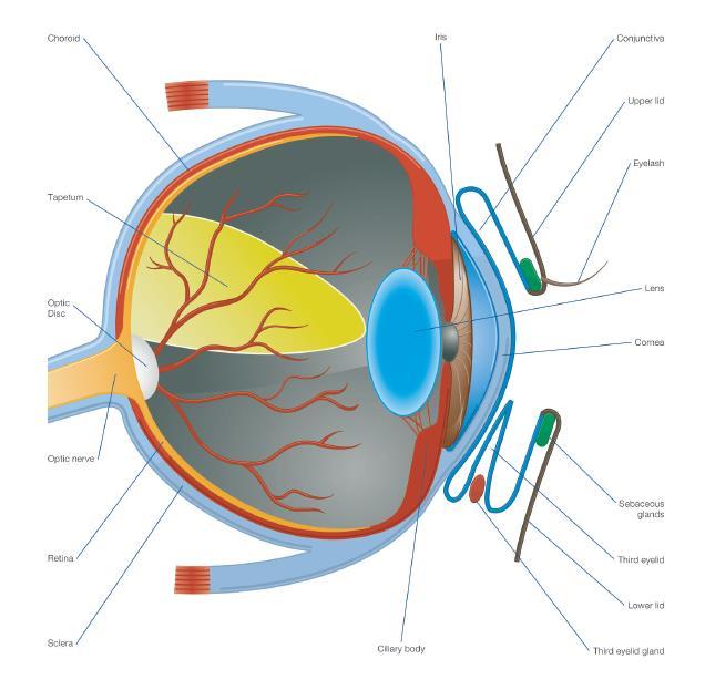 Eye diagram no labels