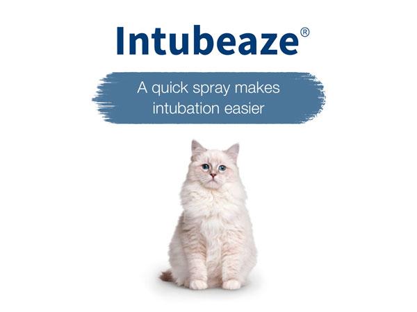 Intubeaze Premium page