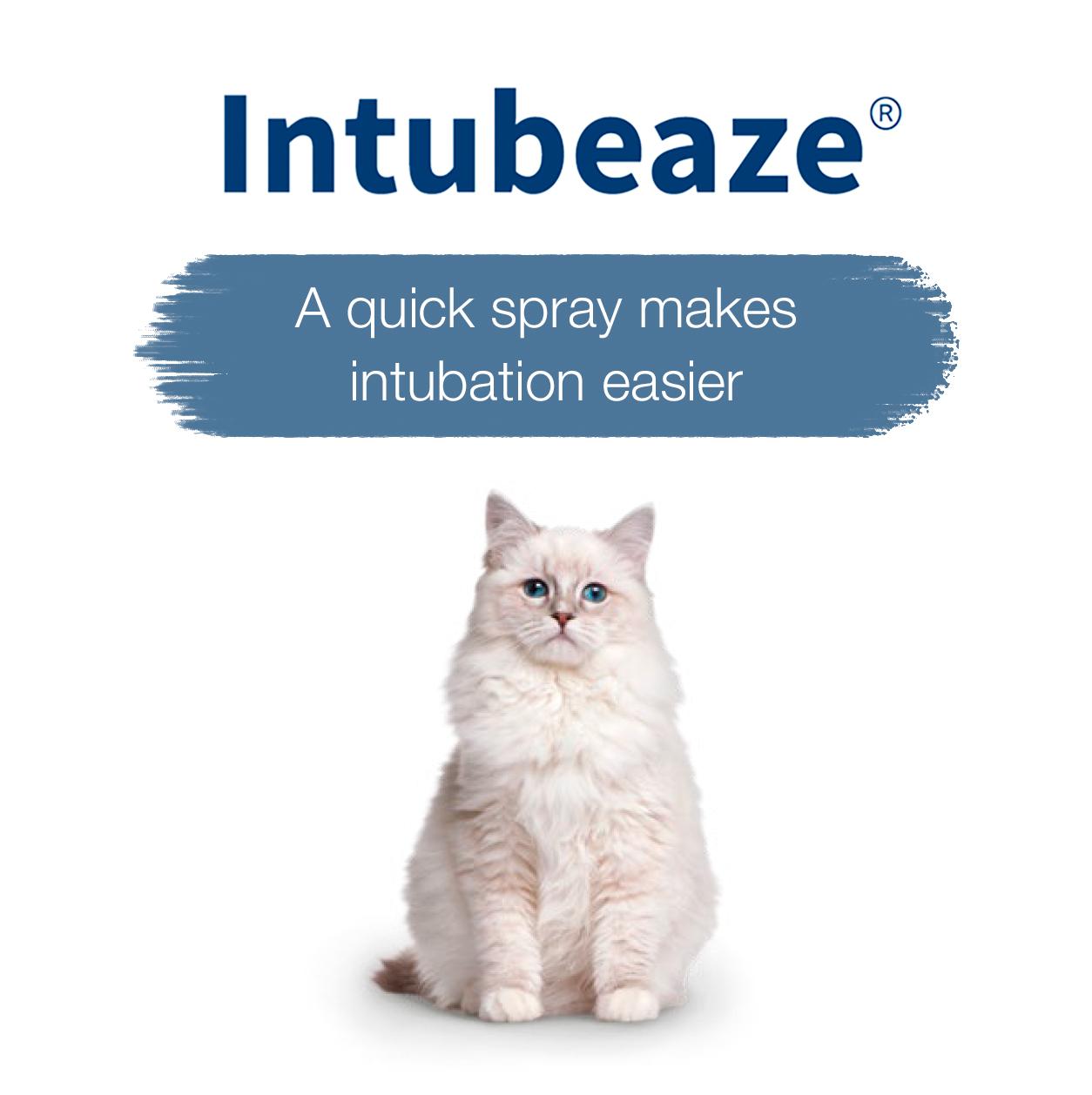 Log-in to learn more about Intubeaze