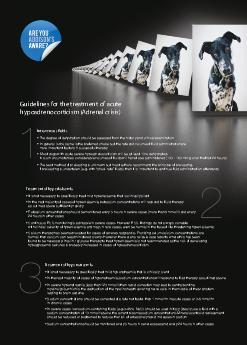 Adrenal Crisis Guidelines