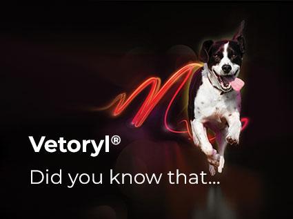 Diagnosing Cushing's