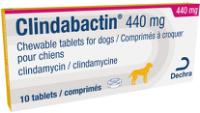 Clindabactin 440mg chewable tablets for dogs