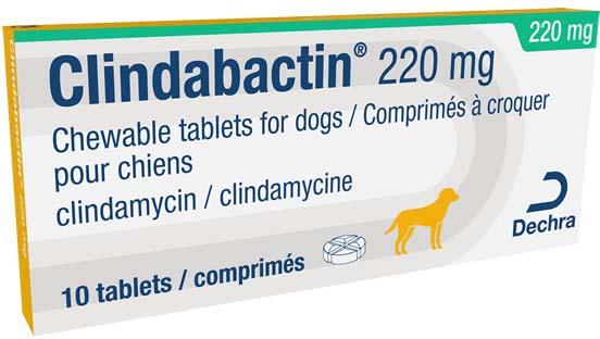 Clindabactin 220mg chewable tablets for dogs