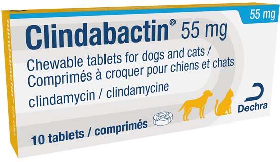 Clindabactin 55mg chewable tablets for dogs and cats