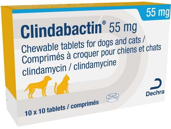 Clindabactin 55mg chewable tablets for dogs and cats