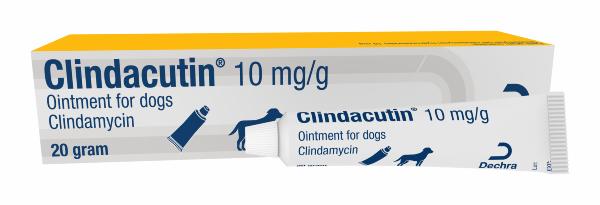 Ointment for dogs 10mg/g