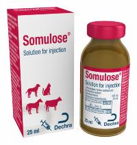 Somulose Solution For Injection