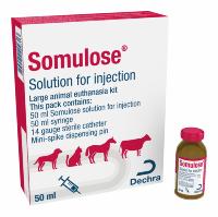 Solution for injection kit