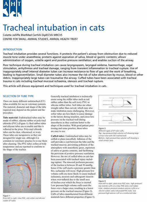 How to intubate a cat Guide How to properly intubate a cat