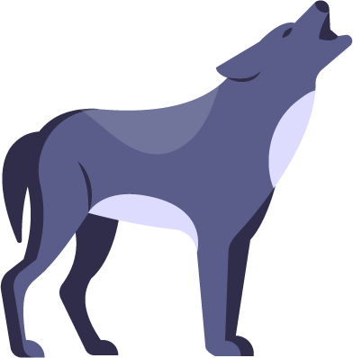 Nutritional imbalance - risks of feeding raw food to dogs