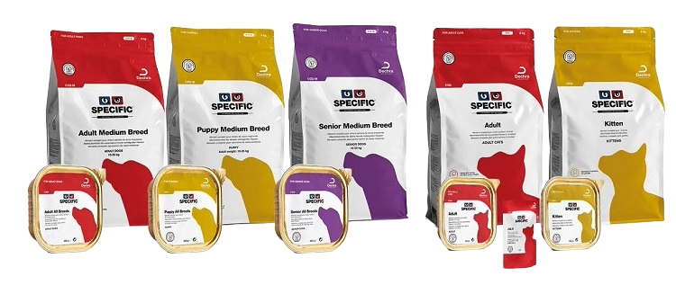 Dechra specific dog 2024 food