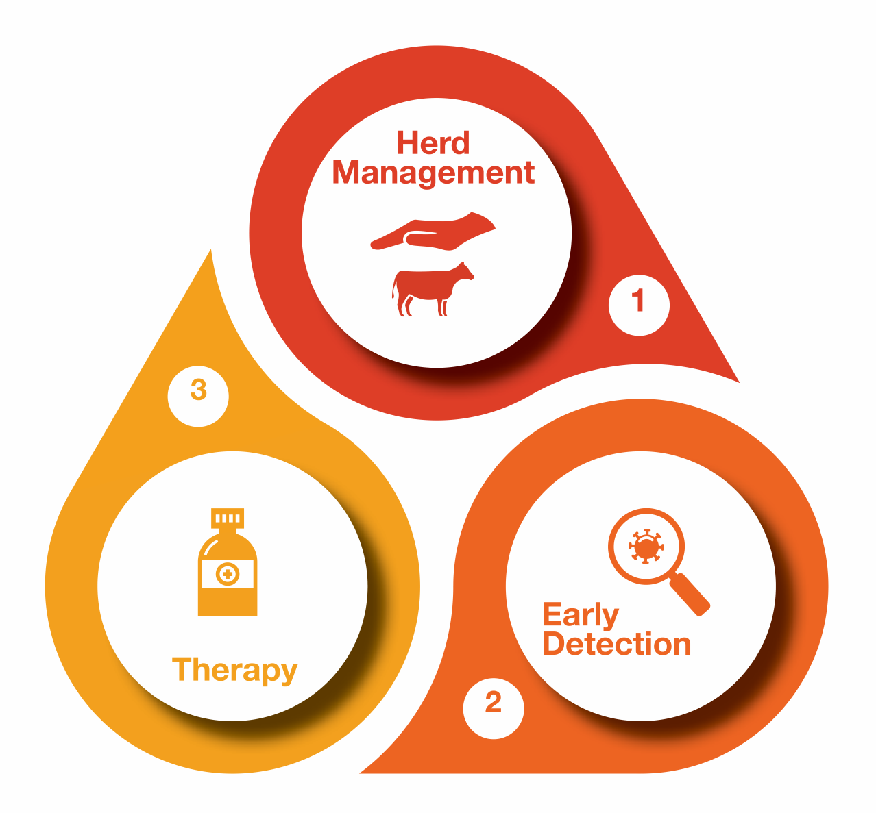 Lameness in cattle, Dechra's integrated approach Lameness in Cattle - Dechra's integrated approach