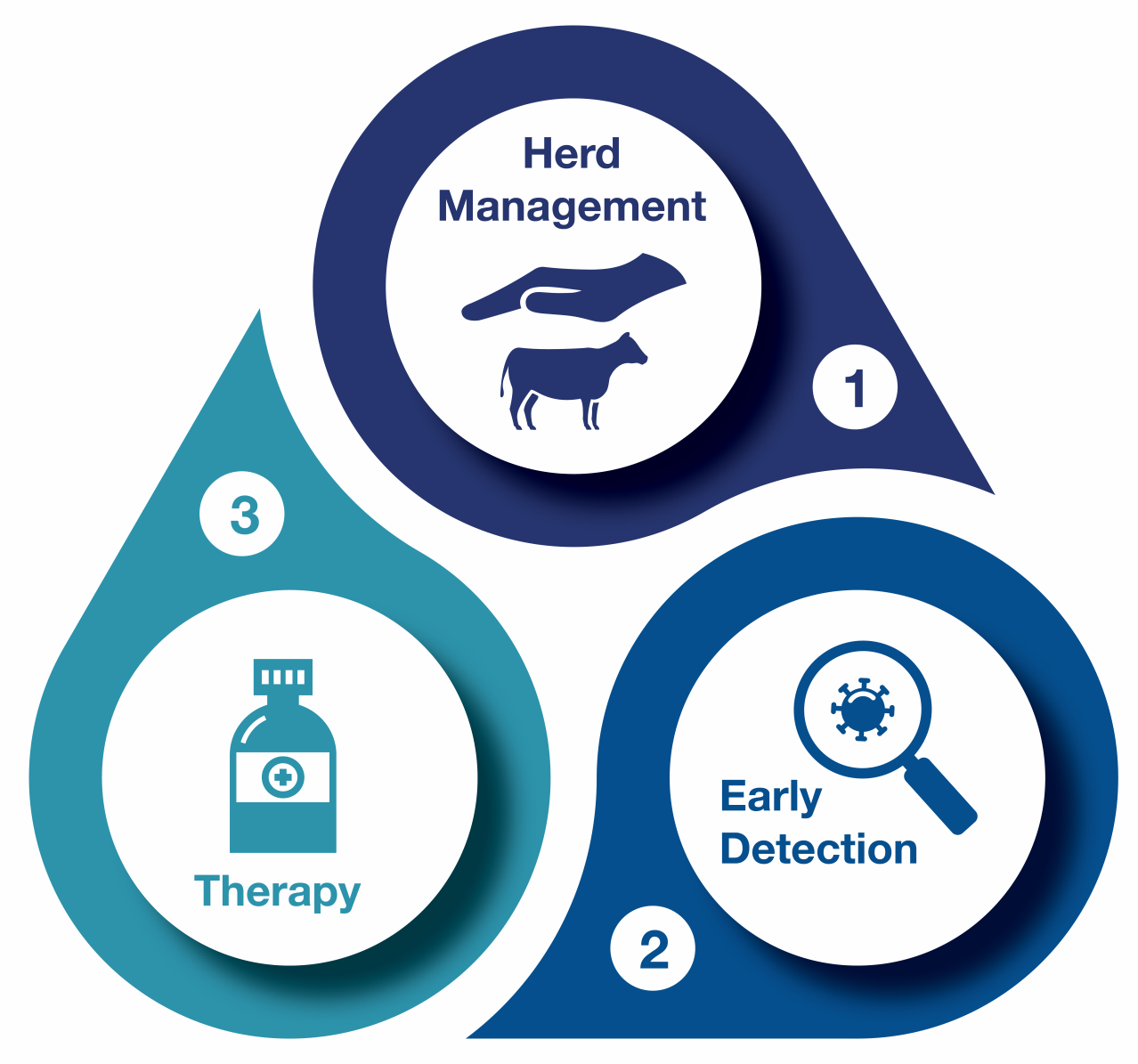 Pain management in Cattle - Dechra's integrated approach