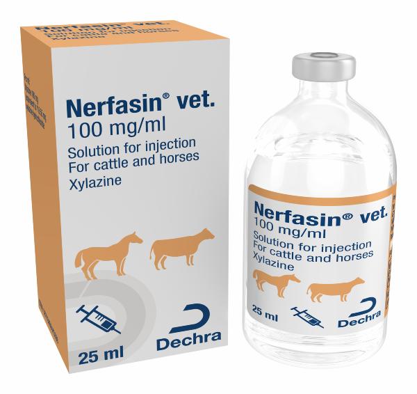 Nerfasin 100 mg/ml