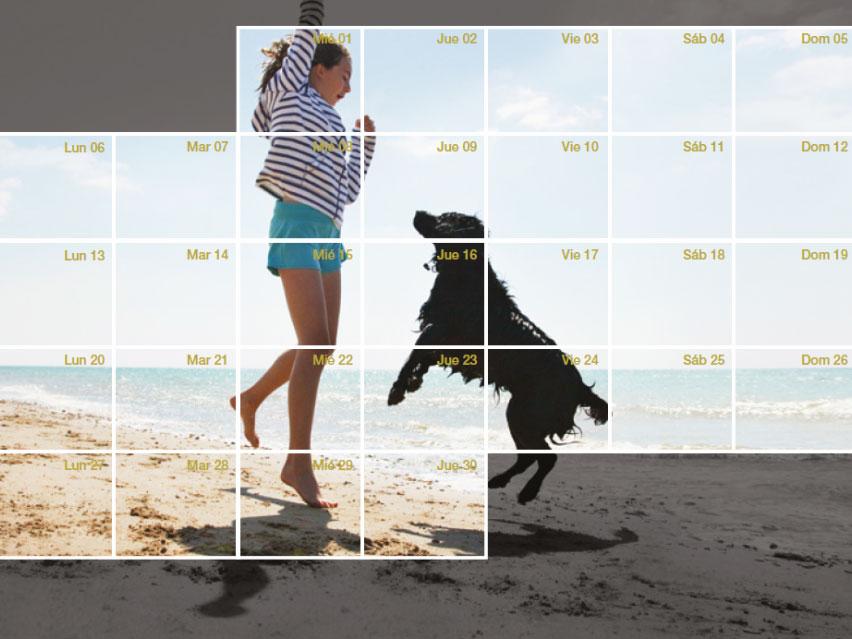 Canine Hypothyroidism