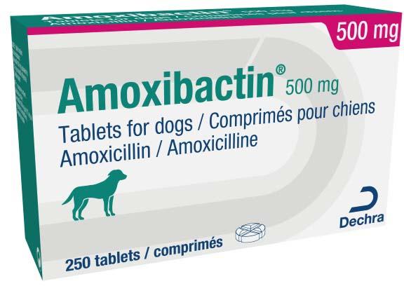 500 mg tablets for dogs