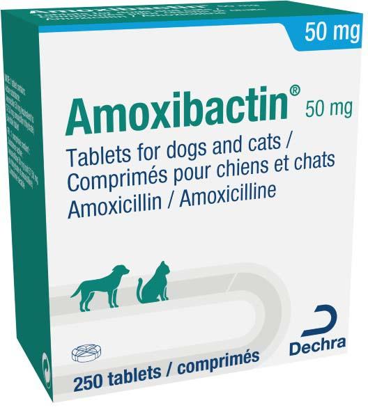 Amoxibactin 50g tablets for dogs and cats