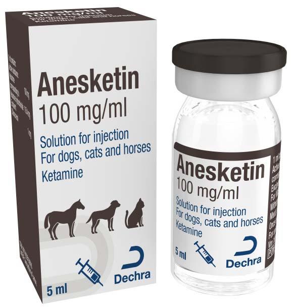 ANESKETIN 100 mg/ml solution for injection for dogs, cats and horses