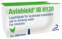 IB H120, Lyophilisate For Oculonasal Suspension/Use In Drinking Water