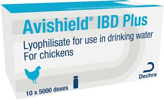IBD Plus, Lyophilisate For Use In Drinking Water, For Chickens