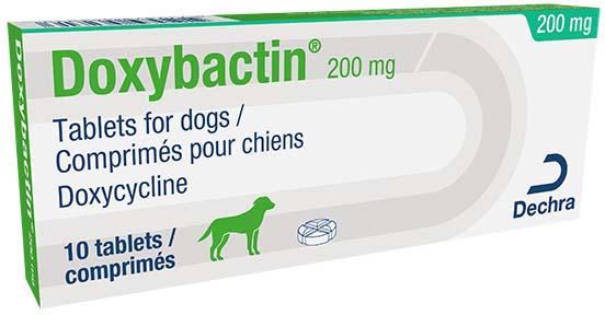 Doxybactin 200mg tablets for dogs