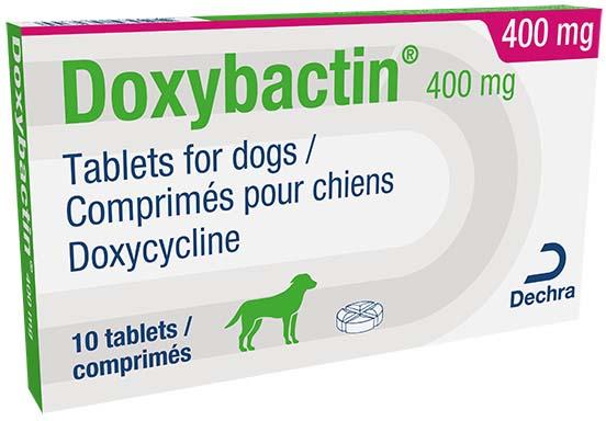 Doxybactin 400mg tablets for dogs