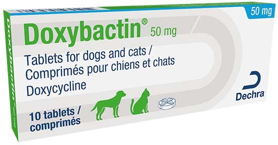 Doxybactin 50mg tablets for dogs and cats