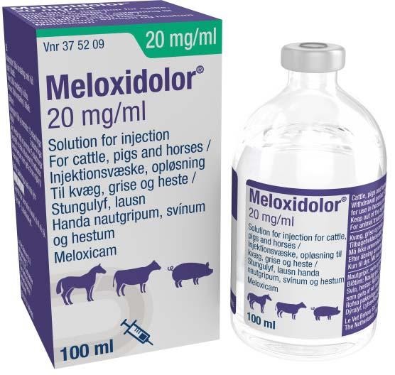 Meloxidolor 20 mg/ml Solution For Injection
