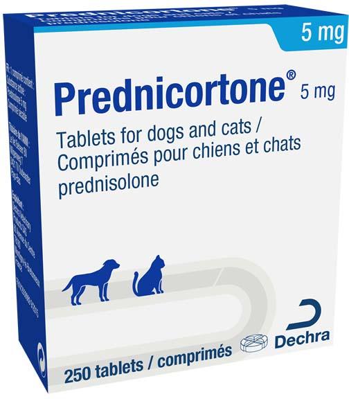 Prednicortone® 5 mg tablets for dogs and cats