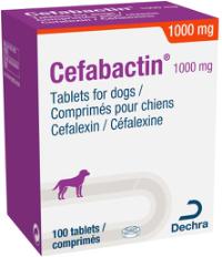 Cefabactin 1000mg tablets for dogs