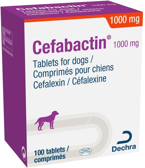 Cefabactin 1000mg tablets for dogs