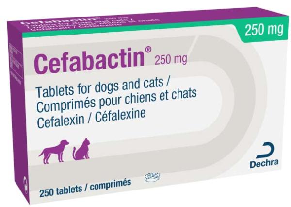 Cefabactin 250mg tablets for dogs and cats