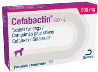Cefabactin 500mg tablets for dogs