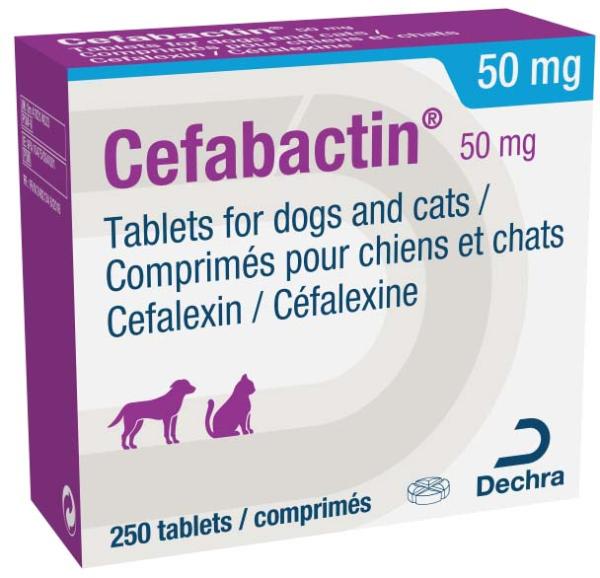 Cefabactin 50mg tablets for dogs and cats